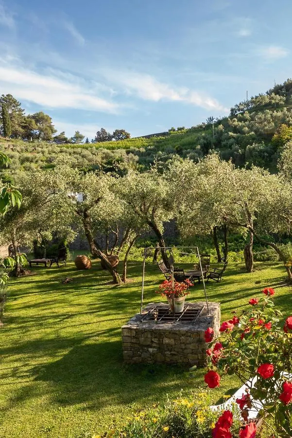 Farm stay Agriturismo Buranco Monterosso al Mare